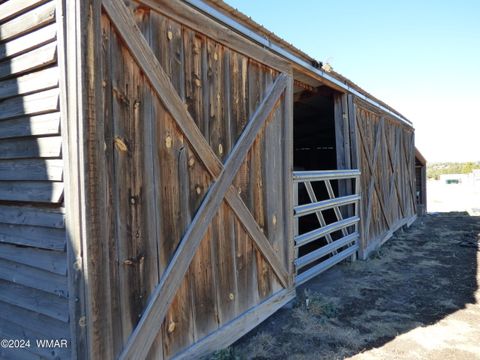 Tiny photo for 41451 Highway 180, Nutrioso, AZ 85932 (MLS # 257131)