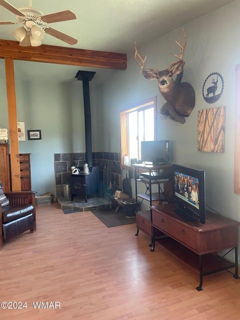 Tiny photo for 41451 Highway 180, Nutrioso, AZ 85932 (MLS # 257131)