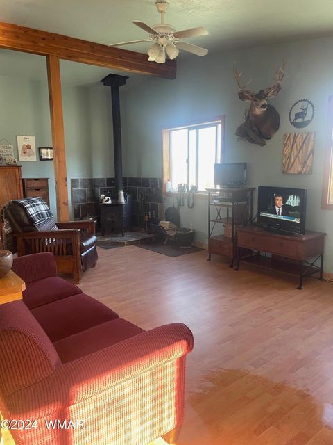 Tiny photo for 41451 Highway 180, Nutrioso, AZ 85932 (MLS # 257131)