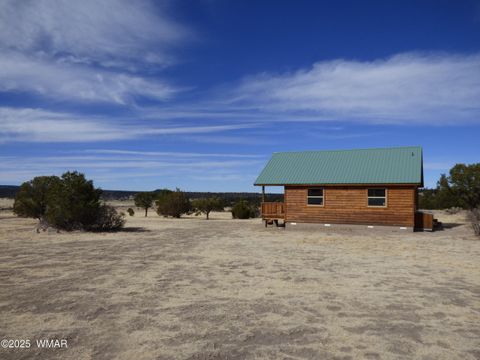 Tiny photo for 41451 Highway 180, Nutrioso, AZ 85932 (MLS # 257131)