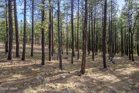 Tiny photo for 15 County Road 2083, Alpine, AZ 85920 (MLS # 262793)