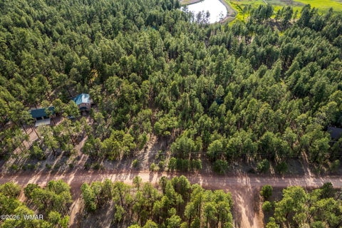 Tiny photo for 15 County Road 2083, Alpine, AZ 85920 (MLS # 262793)