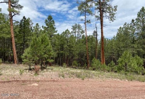 Photo of 15 County Road 2083, Alpine, AZ 85920 (MLS # 262793)