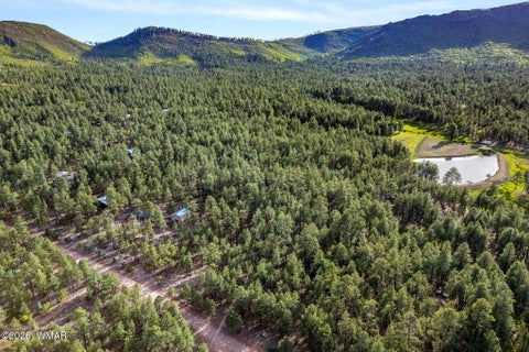 Tiny photo for 15 County Road 2083, Alpine, AZ 85920 (MLS # 262793)