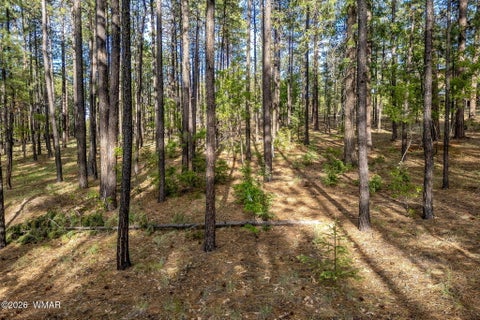 Tiny photo for 15 County Road 2083, Alpine, AZ 85920 (MLS # 262793)