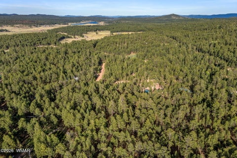 Tiny photo for 15 County Road 2083, Alpine, AZ 85920 (MLS # 262793)