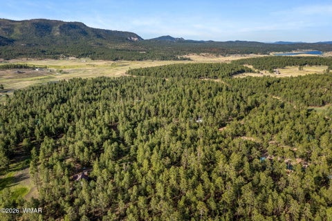 Tiny photo for 15 County Road 2083, Alpine, AZ 85920 (MLS # 262793)