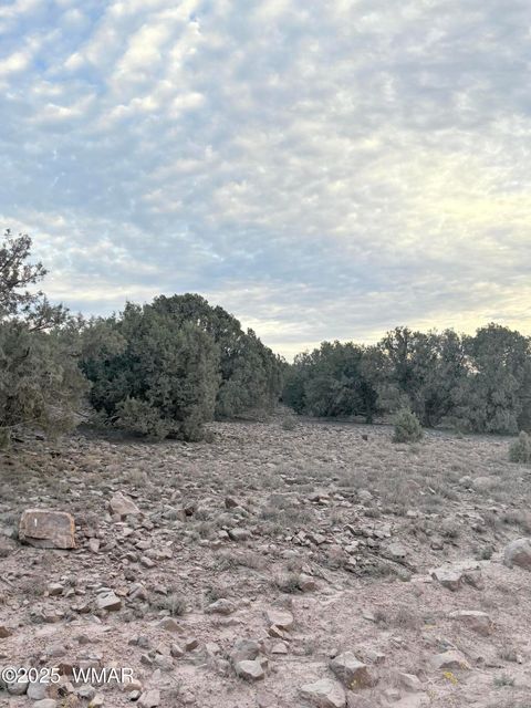 Tiny photo for 337 N8269, Concho, AZ 85924 (MLS # 258668)