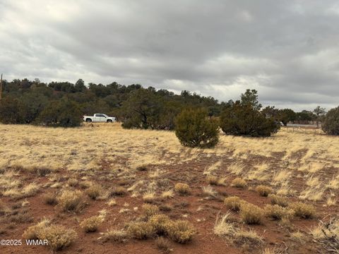 Tiny photo for 14 CR 3340, Vernon, AZ 85940 (MLS # 254189)