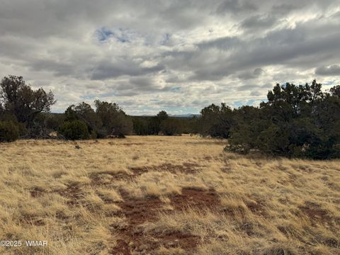 Tiny photo for 14 CR 3340, Vernon, AZ 85940 (MLS # 254189)