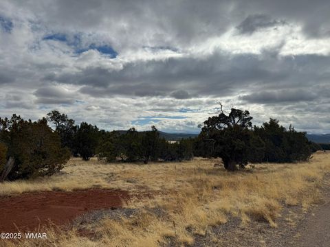 Tiny photo for 14 CR 3340, Vernon, AZ 85940 (MLS # 254189)