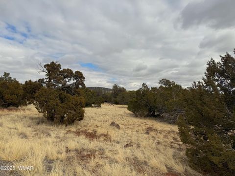 Tiny photo for 14 CR 3340, Vernon, AZ 85940 (MLS # 254189)