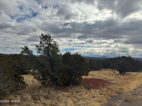 Tiny photo for 14 CR 3340, Vernon, AZ 85940 (MLS # 254189)