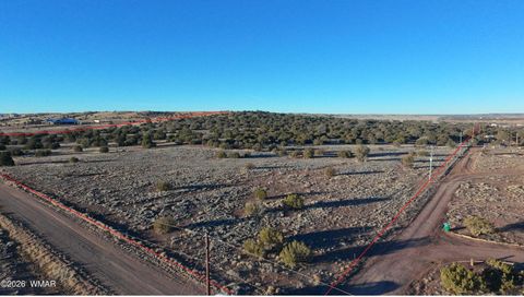 Tiny photo for TBD Arena Estates, Taylor, AZ 85939 (MLS # 259168)