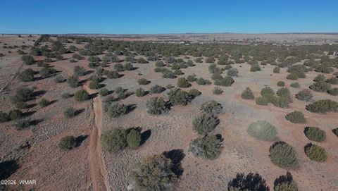 Tiny photo for TBD Arena Estates, Taylor, AZ 85939 (MLS # 259168)