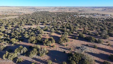 Tiny photo for TBD Arena Estates, Taylor, AZ 85939 (MLS # 259168)
