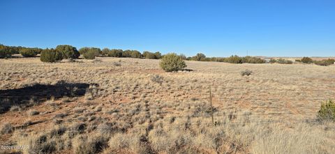 Tiny photo for TBD Arena Estates, Taylor, AZ 85939 (MLS # 259168)