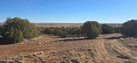 Tiny photo for TBD Arena Estates, Taylor, AZ 85939 (MLS # 259168)