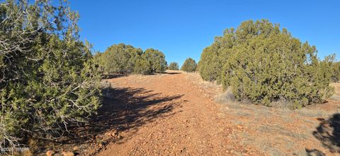 Tiny photo for TBD Arena Estates, Taylor, AZ 85939 (MLS # 259168)