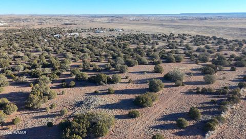 Tiny photo for TBD Arena Estates, Taylor, AZ 85939 (MLS # 259168)