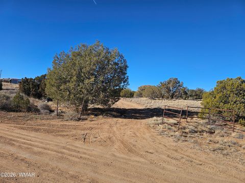 Tiny photo for TBD Arena Estates, Taylor, AZ 85939 (MLS # 259168)