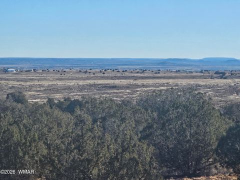 Tiny photo for TBD Arena Estates, Taylor, AZ 85939 (MLS # 259168)
