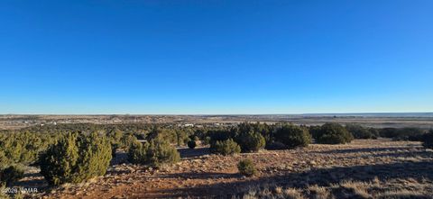 Photo of TBD Arena Estates, Taylor, AZ 85939 (MLS # 259168)