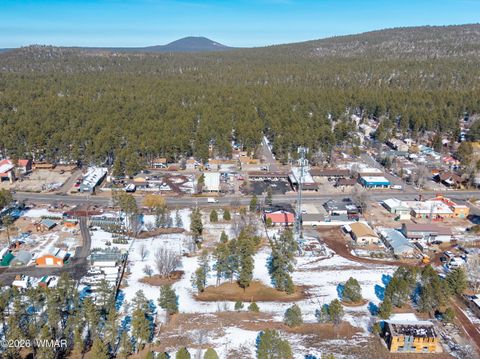 Tiny photo for TBD E White Mountain Boulevard, Pinetop, AZ 85935 (MLS # 259211)