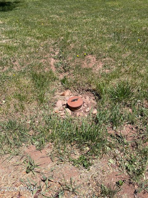Tiny photo for 279 E 4Th Street, Snowflake, AZ 85937 (MLS # 254667)