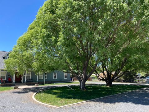 Tiny photo for 279 E 4Th Street, Snowflake, AZ 85937 (MLS # 254667)