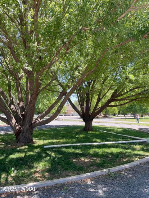 Tiny photo for 279 E 4Th Street, Snowflake, AZ 85937 (MLS # 254667)