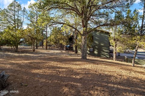 Tiny photo for 2235 Eagle Ln, Overgaard, AZ 85933 (MLS # 254914)