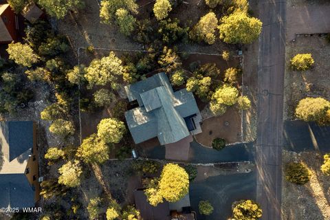 Tiny photo for 2235 Eagle Ln, Overgaard, AZ 85933 (MLS # 254914)