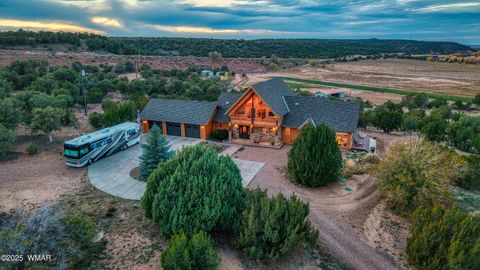 Tiny photo for 2225 State Route 77, Show Low, AZ 85901 (MLS # 258717)