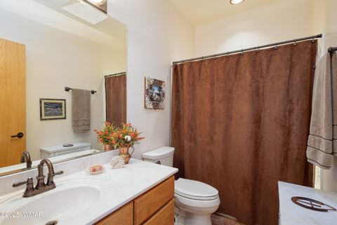 Tiny photo for 2225 State Route 77, Show Low, AZ 85901 (MLS # 258717)