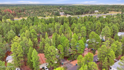 Tiny photo for 2250 W Whipple Street, Show Low, AZ 85901 (MLS # 263304)