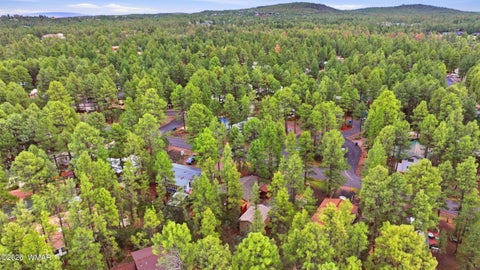 Tiny photo for 2250 W Whipple Street, Show Low, AZ 85901 (MLS # 263304)