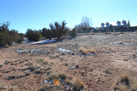 Photo of 3132 W Country Club Drive, Snowflake, AZ 85937 (MLS # 259104)