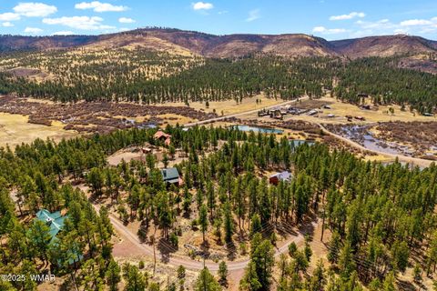 Tiny photo for 56 North Street, Greer, AZ 85927 (MLS # 255464)