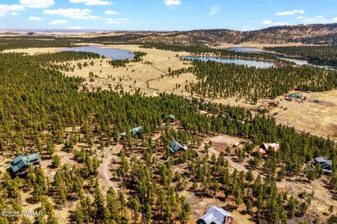 Tiny photo for 56 North Street, Greer, AZ 85927 (MLS # 255464)