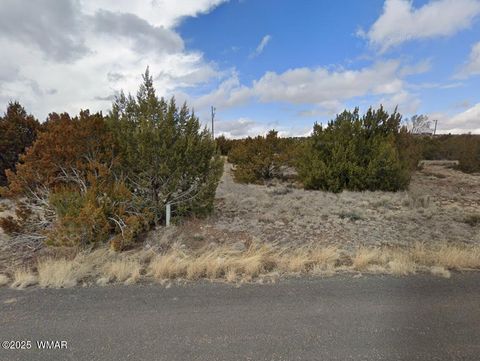 Photo of 137 Frontage Road, Concho, AZ 85924 (MLS # 258095)