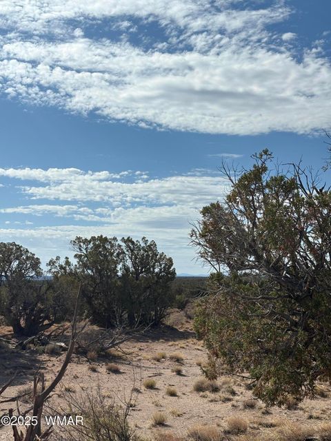 Photo of 8580 D Lawson Lane, Snowflake, AZ 85937 (MLS # 257098)