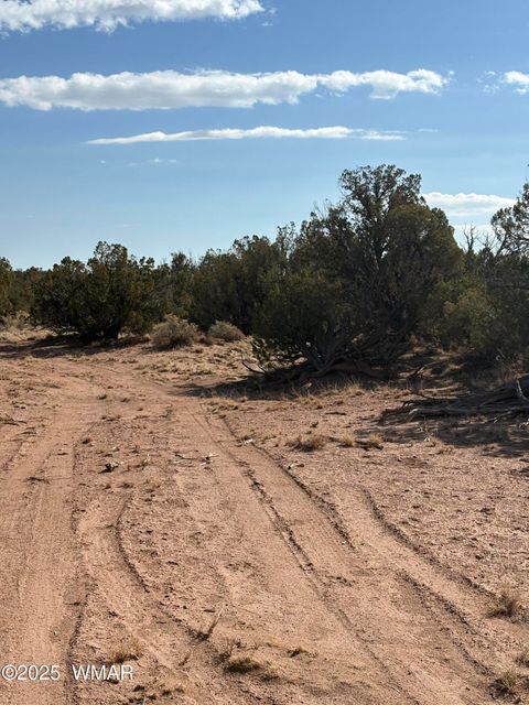 Tiny photo for 8580 D Lawson Lane, Snowflake, AZ 85937 (MLS # 257098)