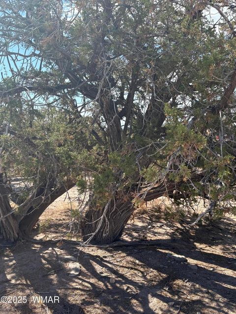 Tiny photo for 8580 D Lawson Lane, Snowflake, AZ 85937 (MLS # 257098)