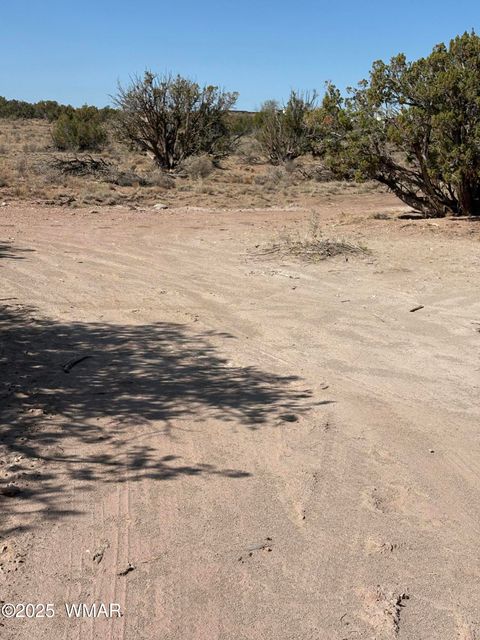 Tiny photo for 8580 D Lawson Lane, Snowflake, AZ 85937 (MLS # 257098)