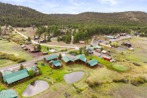 Tiny photo for Cabin 281 Main Street, Greer, AZ 85927 (MLS # 260913)