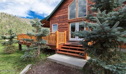 Tiny photo for Cabin 281 Main Street, Greer, AZ 85927 (MLS # 260913)