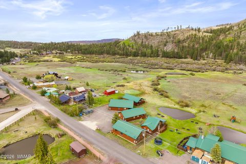 Tiny photo for Cabin 281 Main Street, Greer, AZ 85927 (MLS # 260913)