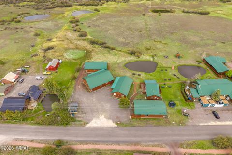 Tiny photo for Cabin 281 Main Street, Greer, AZ 85927 (MLS # 260913)