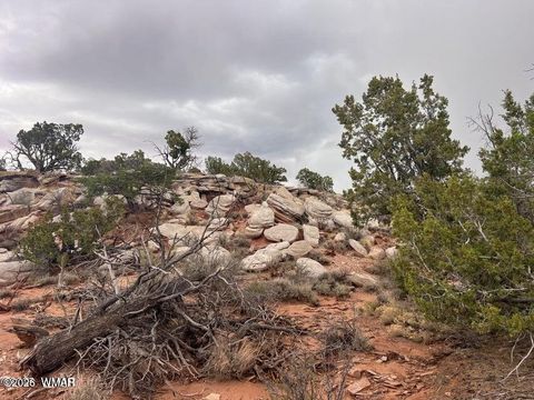 Photo of 9133 Ridge View Lane, Snowflake, AZ 85937 (MLS # 259064)